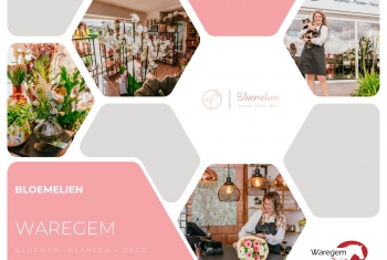 IWZ gespot: Bloemelien